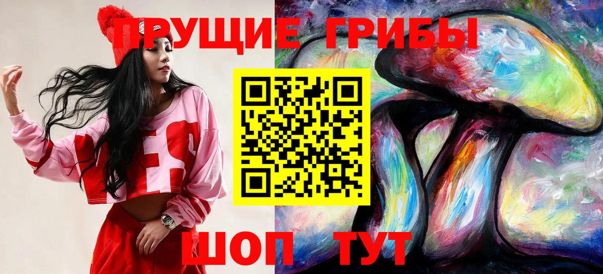 Псилоцибиновые грибы Psilocybine cubensis  Галлюциногенные грибы ЛСД  Юрга  Вход с VPN 