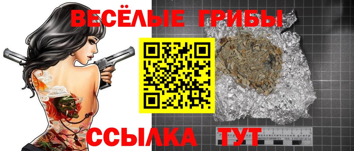 Псилоцибиновые грибы Psilocybe Юрга